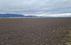 Teren extravilan 2,9 HA,intre Cristian si Vulcan - 4