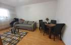 Vânzare apartament 2 camere Trivale - 10