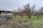 De vanzare casa +teren 16k mp in BARCANESTI / IL - 55