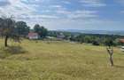 Teren intravilan 1.17ha cu panoramă superbă și PUZ aprobat – Baia Sprie - 3