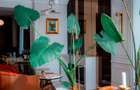 Penthouse Premium zona Floreasca - 13