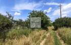 Teren de 11.000 mp cu casă și teren agricol | La 40 km de București | - 3