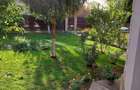 Casa de vanzare Domnesti &ndash; Teghes - 4