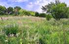Teren constructii intravilan 3600mp Morilor - 6
