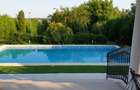 VILA IMPRESIONANTA CU ACCES LA LAC si PISCINA - 9