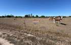 TEREN CU POTENTIAL - Satu Mare - 1