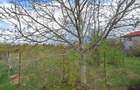 Teren Intravilan 2953 mp – Ideal Proiect Rezidential | Alexandriei - 1