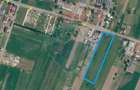 Teren 15,000mp Salcea-Prelipca, Suceava - 3