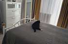 de inchiriat apartament 2 camere, Mamaia nord - 5