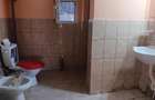 Vorovesti str Principala TEREN 1200mp cu CASA batraneasca 64mp toate utilitatile - 11