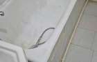 Apartament 2 camere semidecomandat - 3