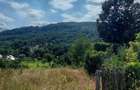 De vanzare: Teren 1000 mp intravilan in Bunesti -  Malureni, Arges  - 4