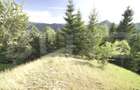 Teren intravilan de top – Colibița | 16.945 mp | Panoramă munți si lac - 2