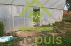 🗺️ Teren intravilan in Jupani (Timis), 10,19 Euro/mp.✨ - 6