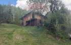 Casa de vânzare | Horea, Alba | Lux și Spațiu Generos - 48