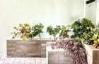 Apartament 2 camere CENTRAL - in clădire cu 4 apartamente - 23