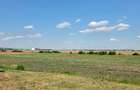 Teren intravilan 2.600 mp – Ștefăneștii de Jos – investiție - 6