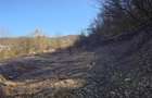 Teren intravilan la liziera padurii - 10