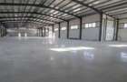 Hala moderna / Productie / Depozitare / Show-room - 6