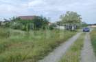 Teren intravilan 2500mp, Malu Mare! - 4