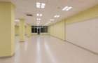 SPAȚIU COMERCIAL DE ÎNCHIRIAT – ZONA DEMOCRAȚIEI