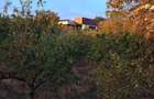 Oportunitate dezvoltare/constructie  2 proprietati Casa+teren 2200 m2,zona buna, - 8