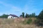 ROANDY-Teren la un pret accesibil -Poienarii Burchii - 3