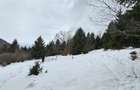 Teren superb extravilan in apropiere de Poiana Brasov - 6