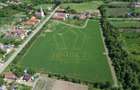 Teren de 1.6ha ideal pentru dezvoltare rezidentiala sau proiect turistic - 3