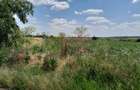 DE VANZARE 2 LOTURI LIPITE (TOTAL 16.500 MP) IN SAT TEISORI (GR) - 7