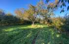 Teren extravilan 3200mp zona Tropinii Vechi - 2