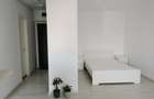 Apartament 1 camera open space si dependinte, 46,85 mp, loc de parcare exterior  - 11