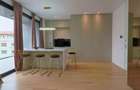 Inchiriere Penthouse superb 4 camere Herastrau NOU! - 3