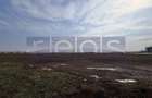VANZARE TEREN 13.300 MP | TUNARI | - 2