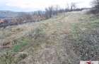 Teren intravilan de vanzare in Berghin- Henig - 4