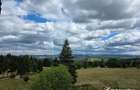 Teren intravilan in Marisel, 11500 mp, plan, expunere sudica - 1
