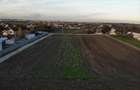 Teren de Casa in Orasul Magurele , 658 mp, Toate Utilitatile - 5