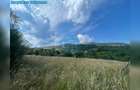Teren cu potențial turistic, cadru natural rar, 20.000 mp  Sacuieu - 1