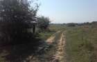 Teren, loc de casă, vânzare 3500 mp Cornesti-Bălești-Gorj, 2 euro mp - 8