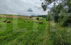 Teren extravilan, 2.2 hectare, zona Hilișeu-Horia - 2