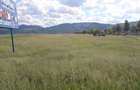 Teren intravilan 8900 mp,Dumbrava Rosiejud Neamt - 1