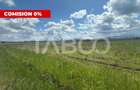 Teren intravilan PUZ aprobat 9000 mp Comision 0 zona industriala vest - 2