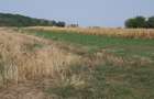 Clinceni-Ordoreanu-padure loturi  733mp - 5