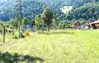 TEREN intravilan 3600 mp  PÂNGǍRAȚI - PRELUCA - 4