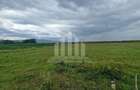 Teren intravilan | De vanzare | 450 mp | 14 ml deschidere | Partos - 1