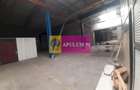 Spatiu Logistic langa Bucuresti Hala 5000 mp - 9