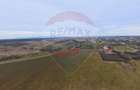 Teren generos cu două fronturi, Frumușeni – plus constructie noua - 7