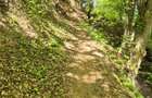 Teren intravilan 1577 mp, Schei Brasov - 5