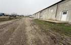Hală de închiriat în Luizi Calugara - 370 mp construiti - 1.500 m - 3