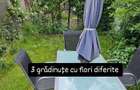 Casa de vanzare cu 4 camere in Cetate S+P+E zona Schit cu teren aferent 800 mp - 11